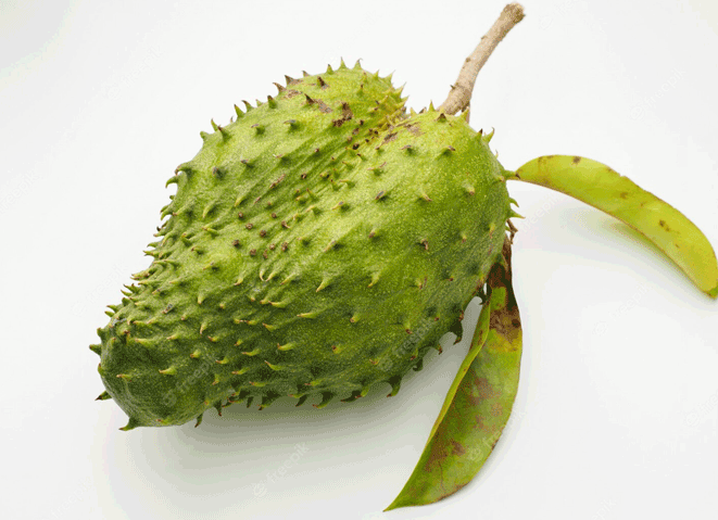 daun sirsak rebusan