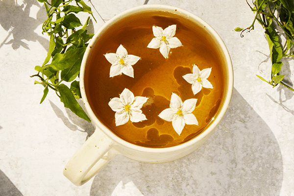10 Manfaat Super Teh Jasmine untuk Kesehatan: Rahasia Sehat yang Tersembunyi